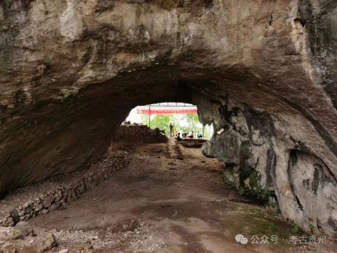 贵州普定穿洞考古发掘取得重要成果