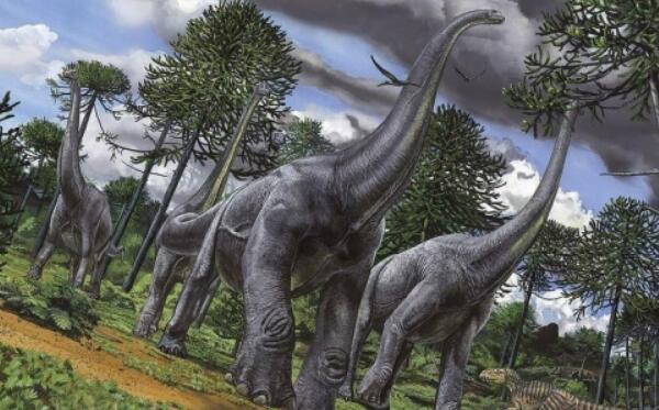 卞氏龙：年代最早的侏罗纪恐龙（长1-3米/中国云南出土）