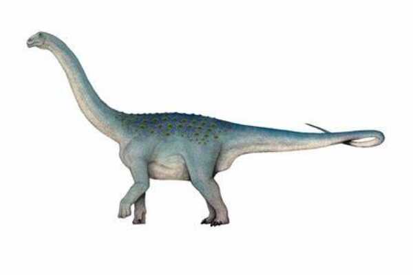 开江龙:亚洲大型兽脚恐龙(出土于中国四川/体长9米)